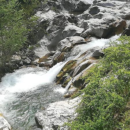 B&B La Voce Del Fiume Dimora Storica Di Charme Brienza Ngoại thất bức ảnh